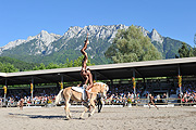 Hafliner Weltausstellungam Fohlenhof in Ebbs im Ferienland Kufstein  ©Fotos: Fohlenhof Ebbs / Fotograf: Christian Kapfinger